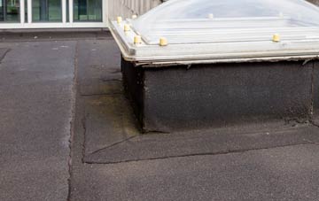 disadvantages of Sigwells flat roofs